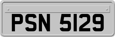 PSN5129