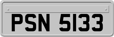 PSN5133