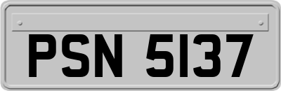 PSN5137