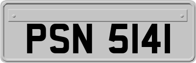 PSN5141