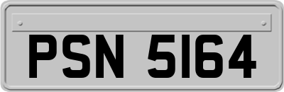 PSN5164