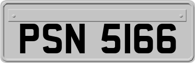 PSN5166