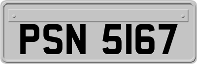 PSN5167