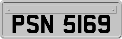 PSN5169