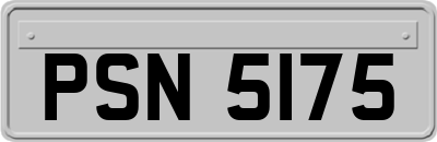 PSN5175