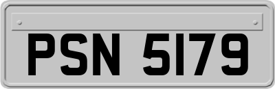 PSN5179