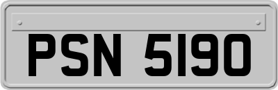 PSN5190