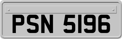 PSN5196