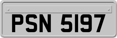 PSN5197