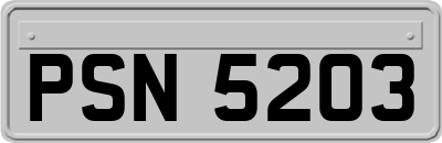 PSN5203