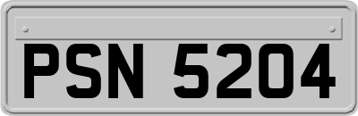 PSN5204