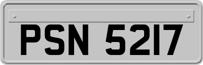 PSN5217