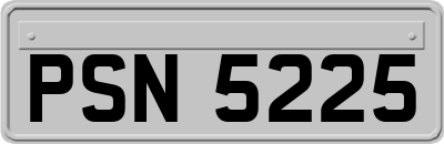 PSN5225