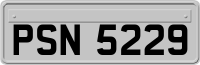 PSN5229