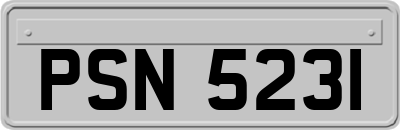 PSN5231
