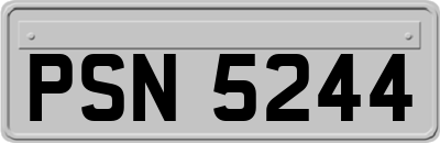 PSN5244