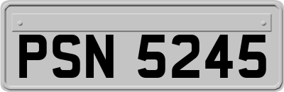 PSN5245