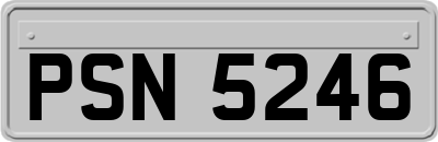 PSN5246
