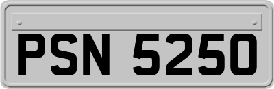 PSN5250