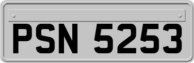 PSN5253