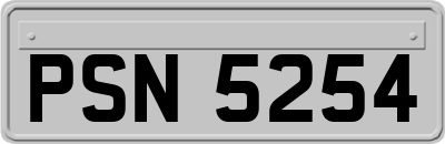 PSN5254