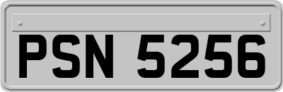 PSN5256