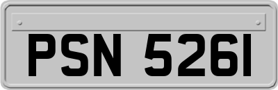 PSN5261