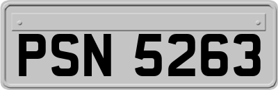 PSN5263