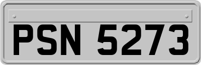PSN5273