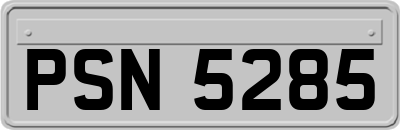 PSN5285