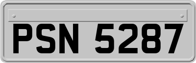 PSN5287