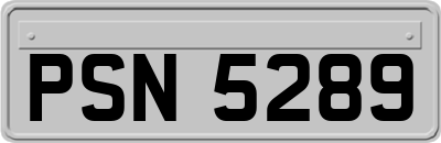 PSN5289