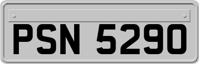 PSN5290