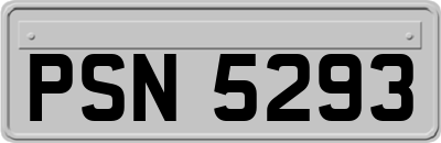 PSN5293