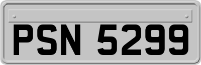 PSN5299