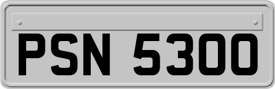 PSN5300