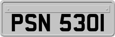 PSN5301