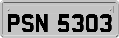 PSN5303