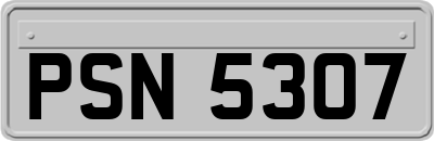 PSN5307