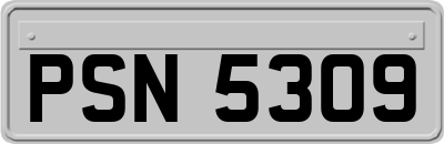 PSN5309