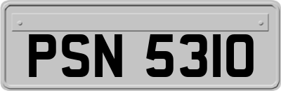 PSN5310