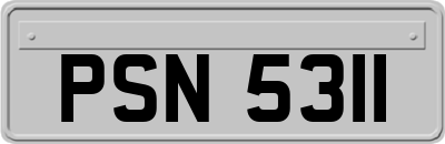 PSN5311