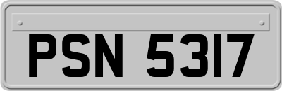 PSN5317