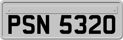 PSN5320
