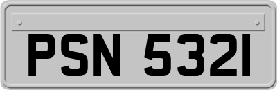 PSN5321