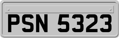 PSN5323