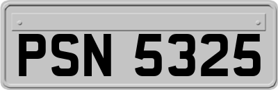 PSN5325
