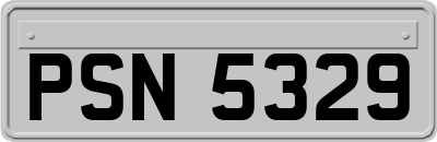 PSN5329