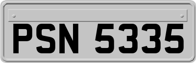 PSN5335