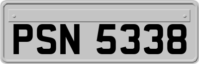 PSN5338
